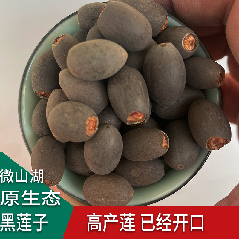 荷花种子莲子种已开口1件50粒黑莲子莲子莲蓬籽即食干货荷花种子