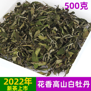 2022年新春茶高山白茶明前早春白牡丹福鼎白茶散装500g