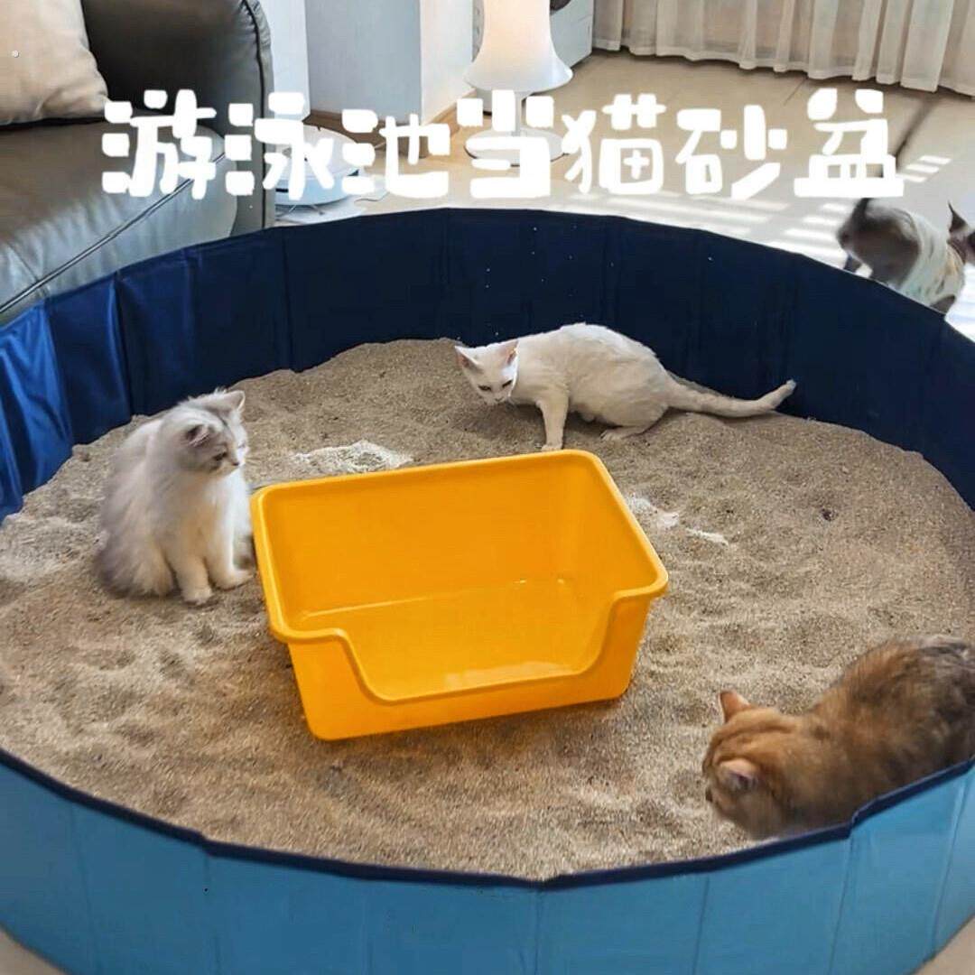 泳池猫砂盆留守猫咪大容量便盆加高加宽防溅砂摺叠收纳特大猫厕所