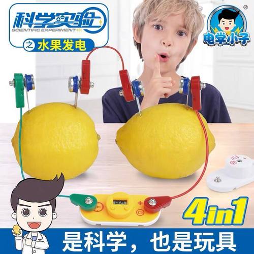 水果电池科技制作小发明自制材料