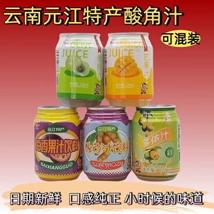 正宗元江特产云南酸角汁果汁饮料老牌子小瓶装夏日饮品一整箱包邮