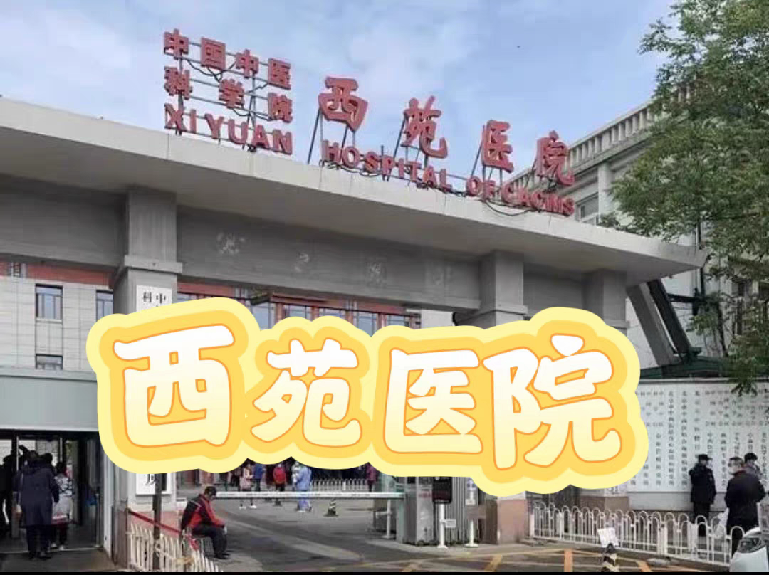 西～苑红枣睡眠酸枣仁膏非北京安神桑葚草本膏枸杞特级饮品