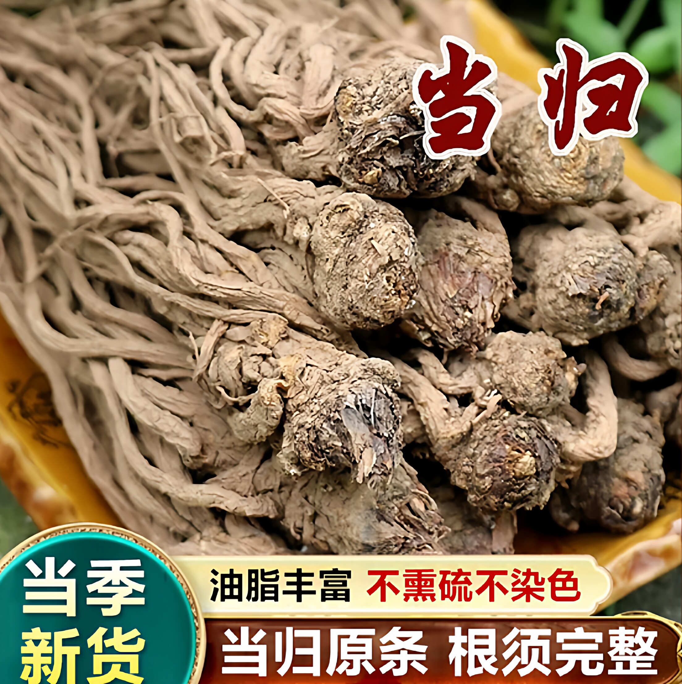 甘肃陇南农家无硫特价当归泡酒煲汤干货原条配黄芪党参养血补气