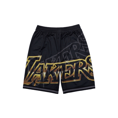 NBA篮球服湖人队青少年大童学生夏季户外运动球裤短裤