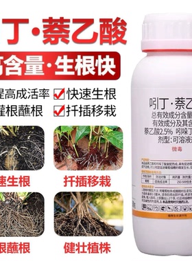 吲丁萘乙酸生根液植物生长调节剂扦插树木移栽生根剂粉正品生根水