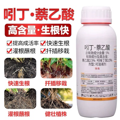 吲丁萘乙酸生根液植物生长调节剂扦插树木移栽生根剂粉正品生根水