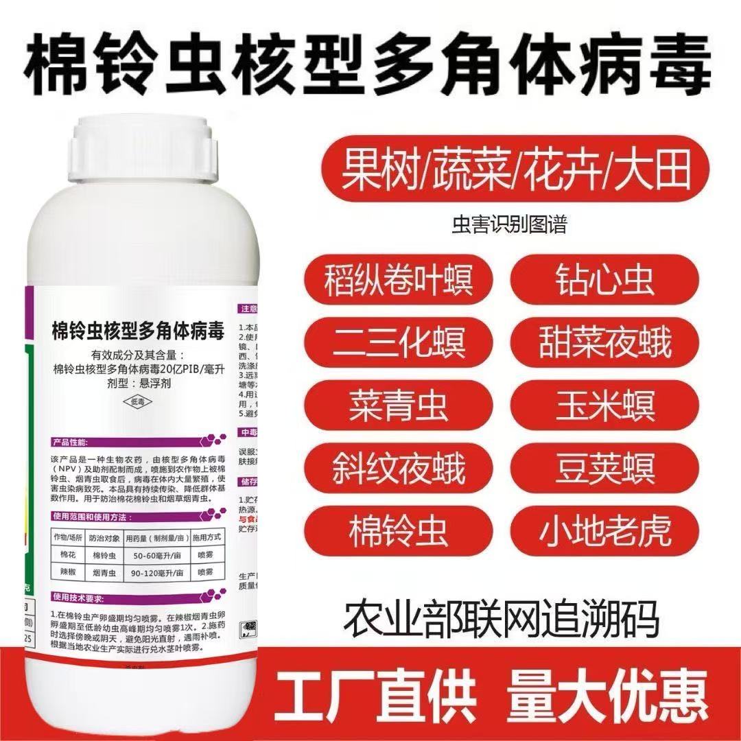 棉铃虫核型多角体病毒菜青虫钻心虫棉铃虫果树蔬菜水稻玉米杀虫剂