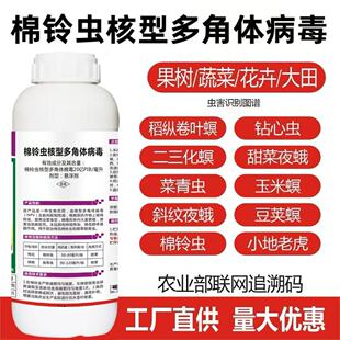 棉铃虫核型多角体病毒菜青虫钻心虫棉铃虫果树蔬菜水稻玉米杀虫剂
