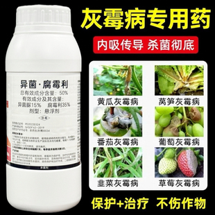 灰霉病专用药异菌脲腐霉利果树蔬菜花草莓番茄辣椒葡萄杀菌剂农药