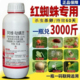 红蜘蛛专用药杀卵杀虫剂阿维哒螨灵阿维菌素果树植物月季 花卉农药