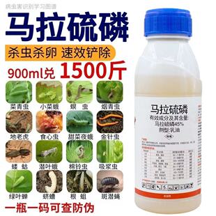 马拉硫磷杀虫剂蚜虫蓟马钻心虫跳甲飞虱蝗虫粘虫水稻小麦果树蔬菜