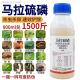马拉硫磷杀虫剂蚜虫蓟马钻心虫跳甲飞虱蝗虫粘虫水稻小麦果树蔬菜