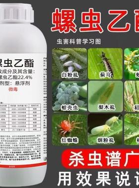 螺虫乙酯蚧壳虫蚜虫蓟马红蜘蛛梨木虱果树蔬菜植物月季花卉杀虫剂