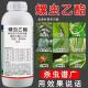 螺虫乙酯杀虫剂蚧壳虫蚜虫蓟马红蜘蛛梨木虱果树蔬菜植物月季 花卉