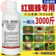 红蜘蛛专用药杀卵杀虫剂阿维螺螨酯锈壁虱果树蔬菜月季 花卉杀螨剂