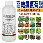 高效氯氰菊酯农药杀虫剂果树蔬菜蚜虫钻心虫菜青虫地下害虫杀虫药