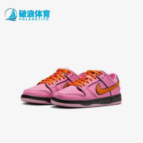 Nike/耐克正品Dunk SB 小童日常低帮潮流经典复古板鞋FZ3351-600
