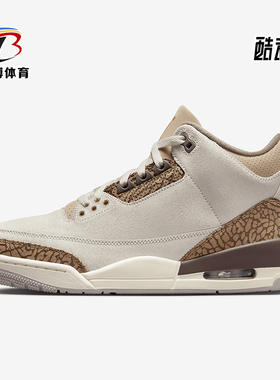 Nike/耐克正品Air Jordan 3男士复古耐磨经典篮球鞋CT8532-102