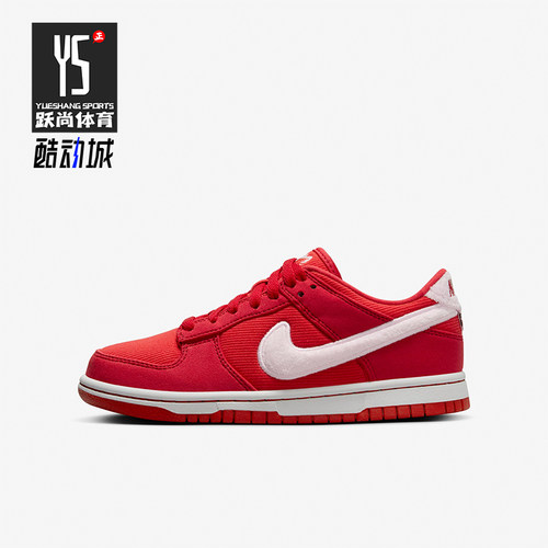 Nike/耐克大童运动休闲板鞋