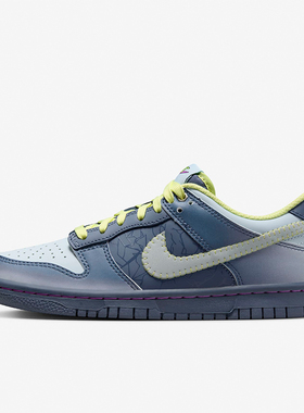 Nike/耐克正品轻便防滑新款女士低帮耐磨运动休闲板鞋FQ8354-491