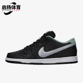 耐克正品 573901 Dunk S.P.O.T. Nike 耐磨运动板鞋 男士 002