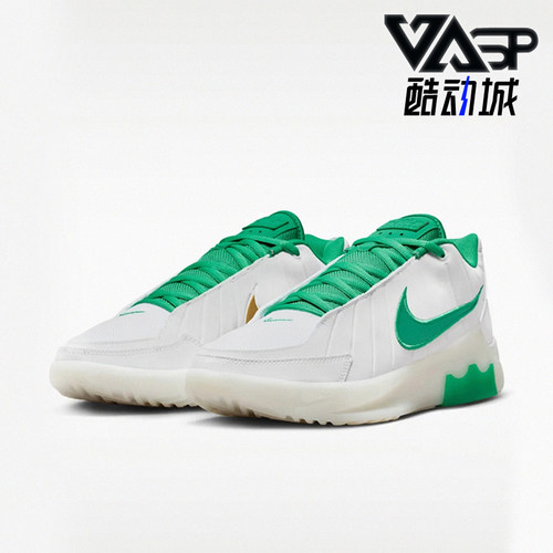 Nike/耐克正品LEBRON WITNESS IX EP男士经典篮球鞋HQ8035-101