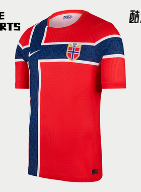 Nike/耐克正品男士主场透气套头圆领短袖足球衣IB5170-673