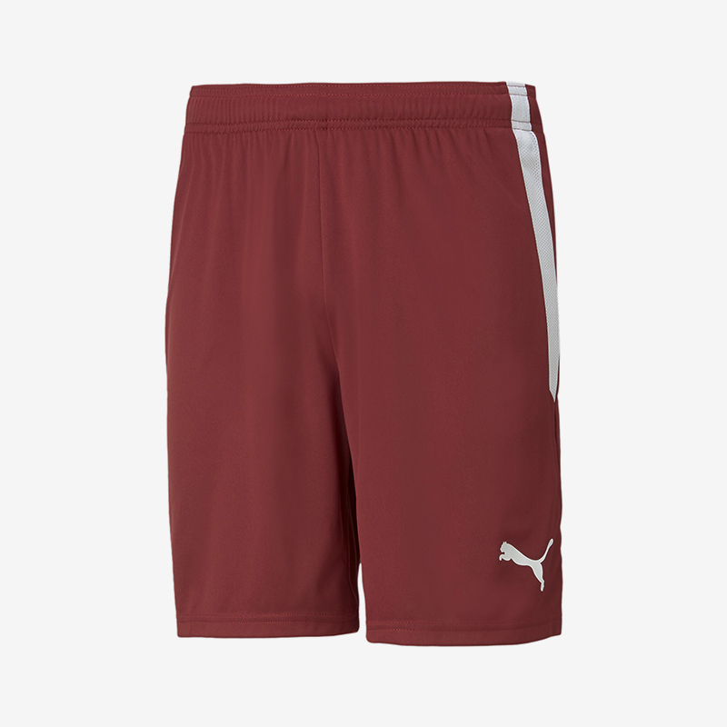 Puma/彪马正品新款男士针织舒适透气运动训练短裤704924-09