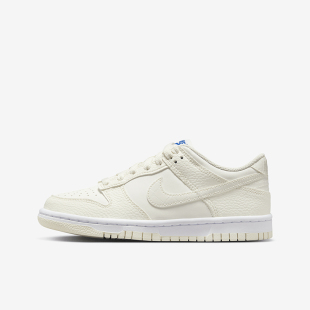 GS女子大童经典 新款 耐克正品 100 缓震板鞋 FV7472 百搭时尚 Nike