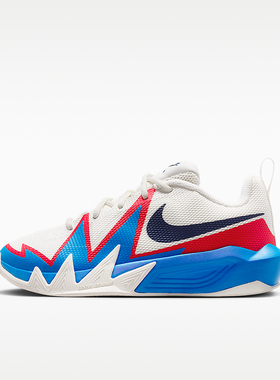 Nike/耐克正品GS女子大童透气运动耐磨经典低帮篮球鞋IH2308-105