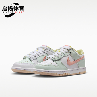 Nike/耐克正品DUNK GS女子大童耐磨透气经典缓震板鞋IV2861-181