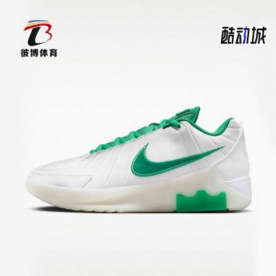 Nike/耐克正品LEBRON WITNESS IX EP男士经典篮球鞋HQ8035-101