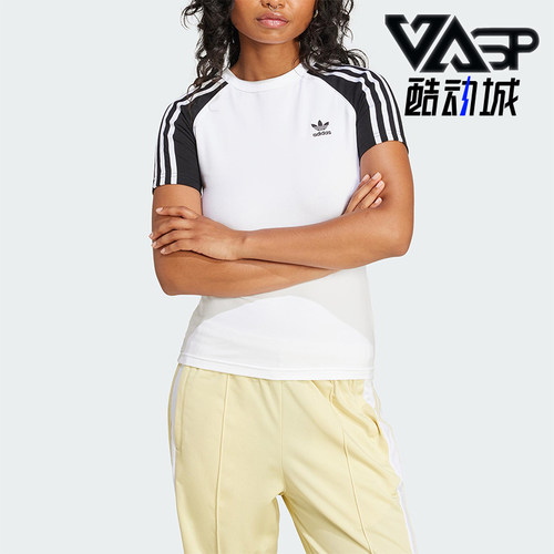 Adidas/阿迪达斯正品三叶草女士休闲修身运动针织透气短袖JD0834