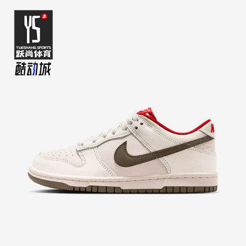 Nike/耐克正品Dunk Low GS女子大童系带耐磨低帮运动鞋IQ9793-020