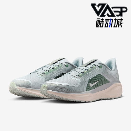 Nike/耐克正品Pegasus 41男士训练运动减震耐磨跑步鞋FQ1356-007