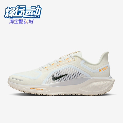 Nike/耐克正品Pegasus 41女士低帮网眼减震耐磨跑步鞋FQ1357-102