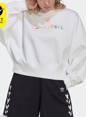 Adidas/阿迪达斯女子套头衫保暖运动卫衣HS2605