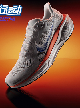 Nike/耐克正品Pegasus 41男士缓震公路运动系带跑步鞋 HF0013-900