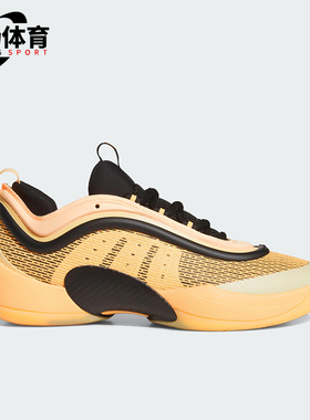 Adidas/阿迪达斯正品D.O.N. ISSUE 6男士经典缓震篮球鞋JI1549