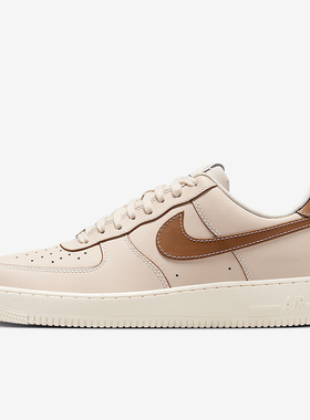 Nike/耐克正品2025男士轻便防滑系带透气经典休闲板鞋IB8865-221