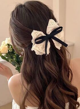 白色蕾丝大肠发圈蝴蝶结新款头饰高级感韩系韩版女生扎头布艺发绳