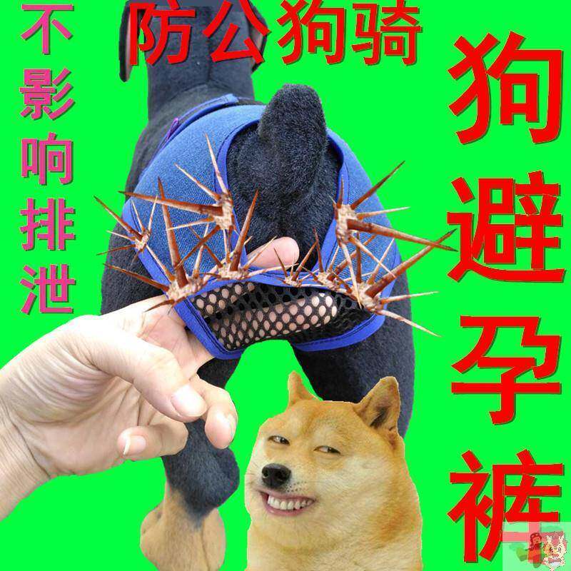 防交配神器避孕哈士奇博美雪纳瑞卫生裤新款萨摩姨妈比熊