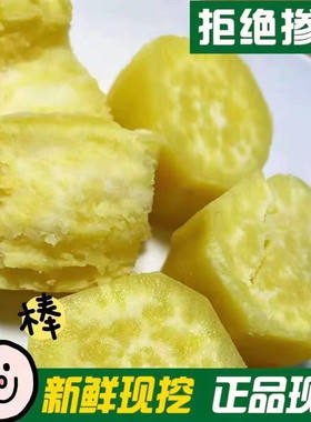 广东潮汕鸡蛋黄心板栗地瓜白皮番薯甜糯红薯新鲜沙地新鲜现挖白薯