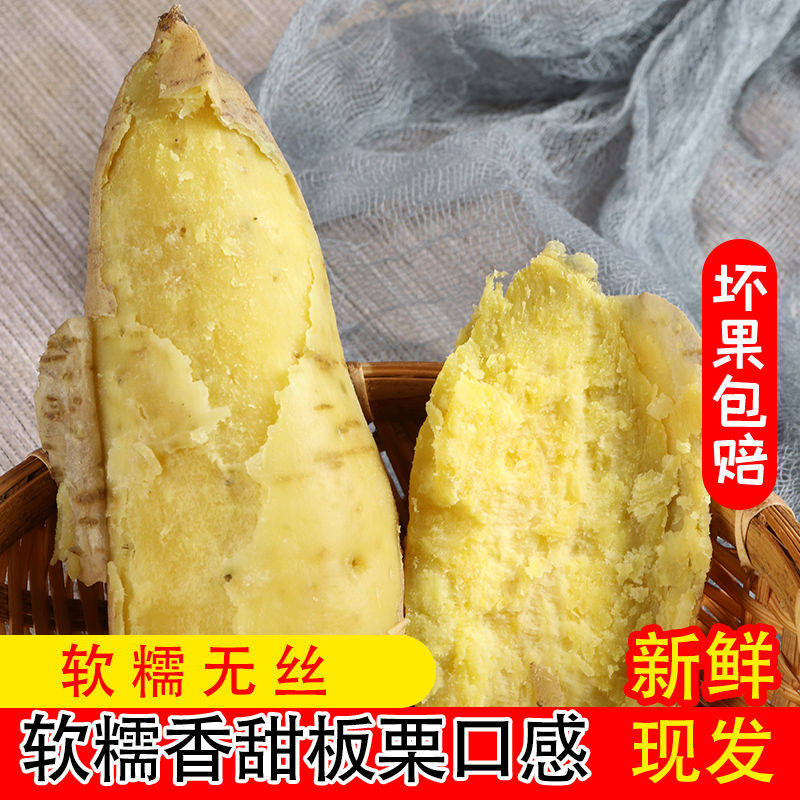 【潮汕番薯】正宗潮州白皮黄心板栗薯香甜软糯粉无丝新鲜现挖直发