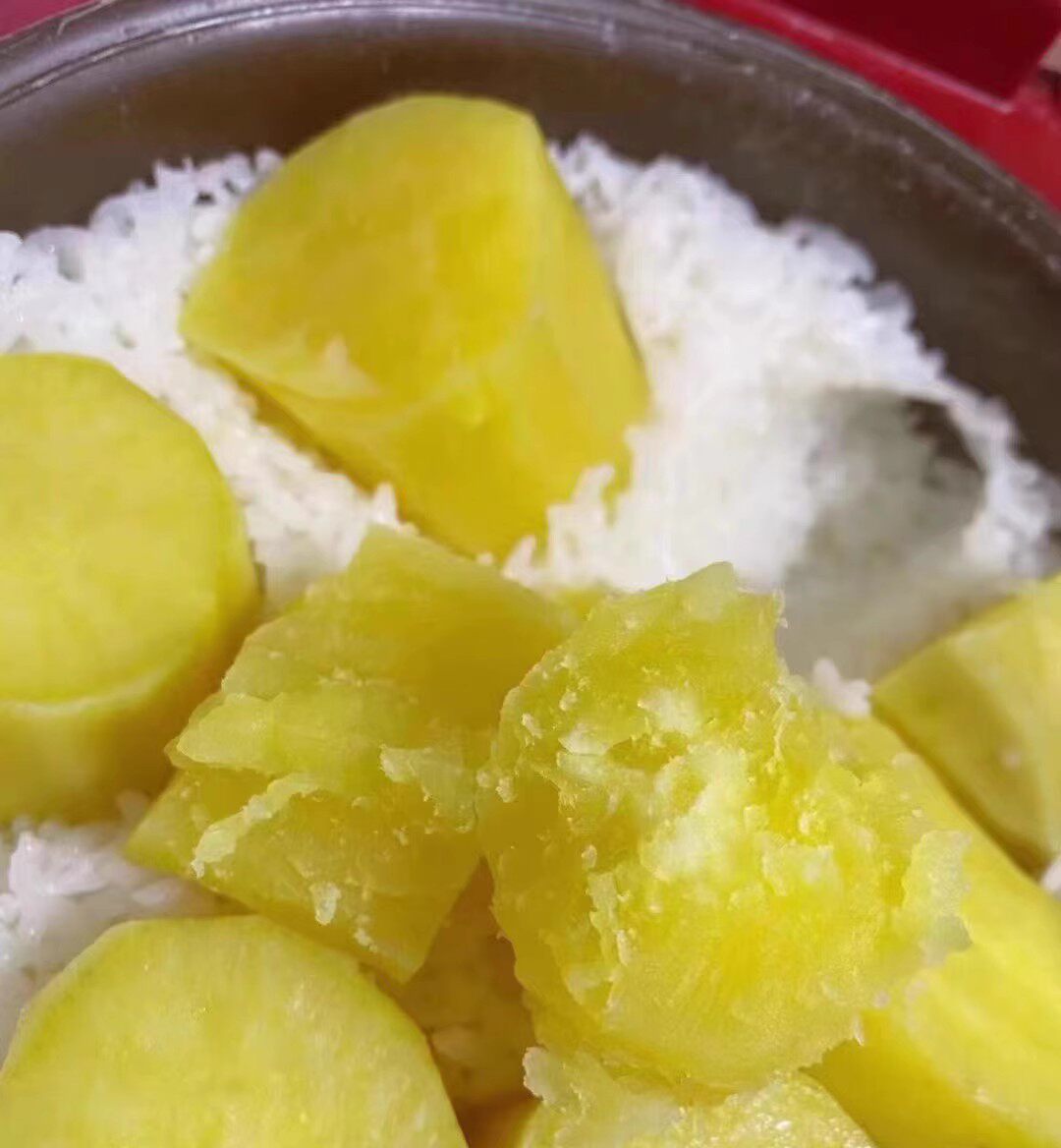 广东正宗潮汕白皮黄心地瓜新鲜现挖现发番薯产地农家沙地板栗红薯