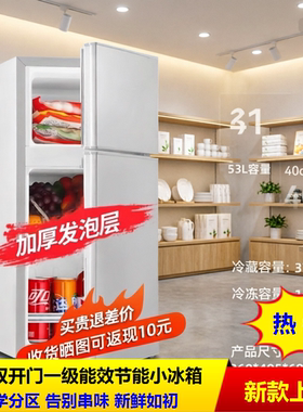 小冰箱展示柜客厅迷你双开门小型节能省电大容量出租房办公室家用