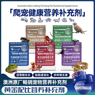澳洲爬宠健康D3细钙粉维生素BAC肠胃益生菌超细易吸收营养补充剂
