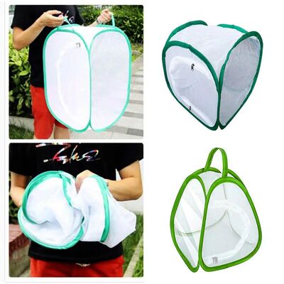 Green Collapsible Insect Cage Transparent Mesh Feeding Box R