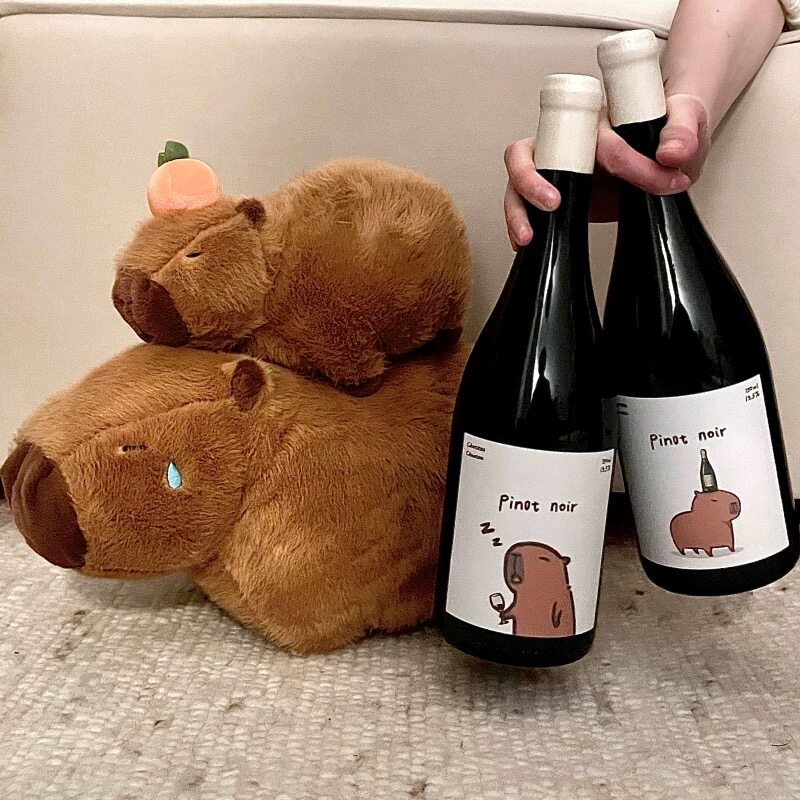 宁夏红酒尚颂堡卡皮巴拉黑皮诺干红葡萄酒不吃爱情的苦好聚好散