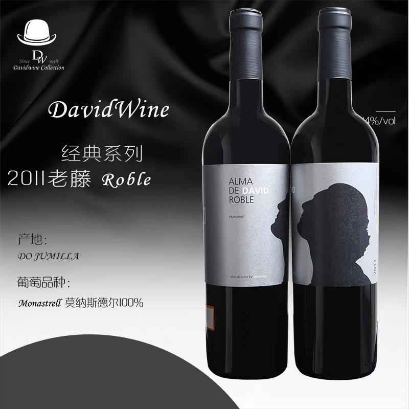 西班牙红酒干红葡萄酒大卫